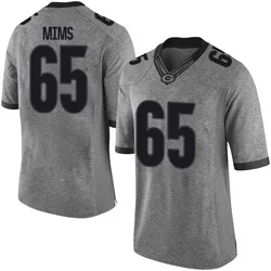 Youth Nike Amarius Mims Georgia Bulldogs Limited Gray Football College Jersey